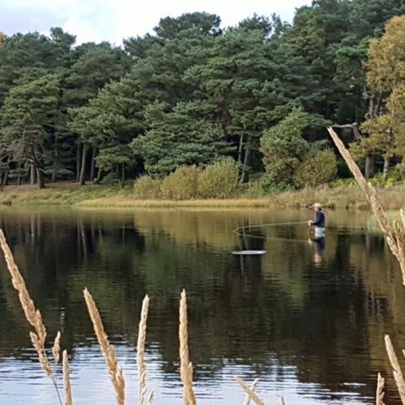 Langley Dam Fishery