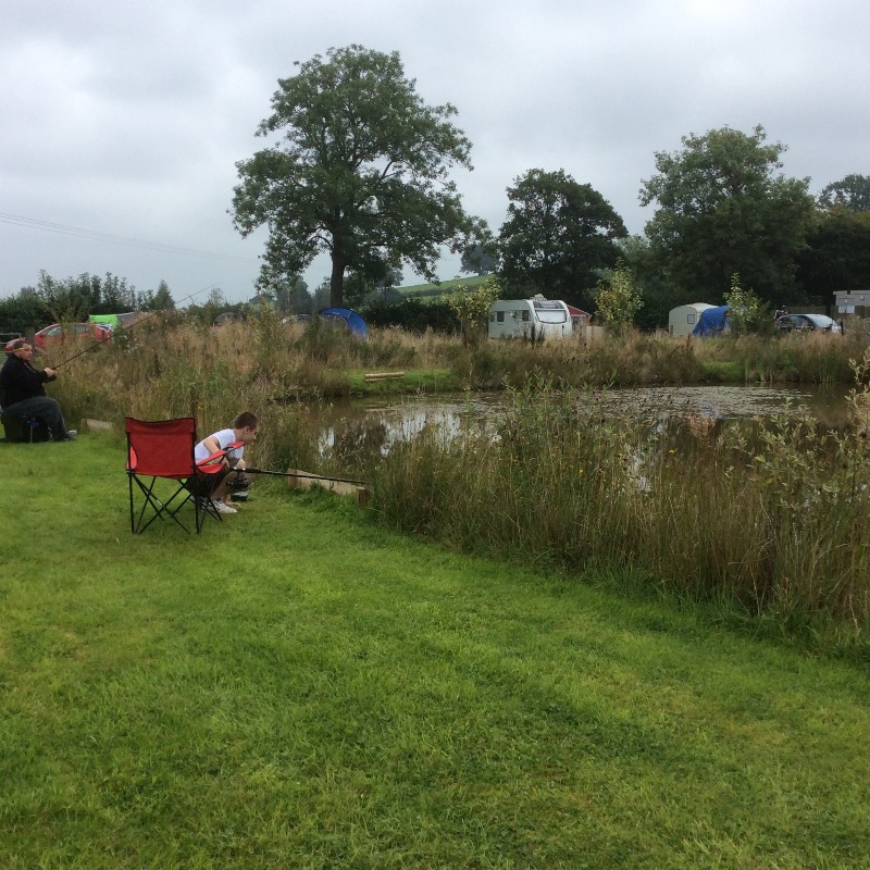 Bluebell Park Coarse Fishery